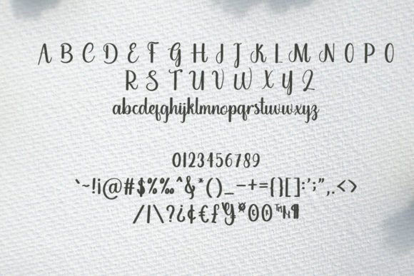 Premium Font Poster 4
