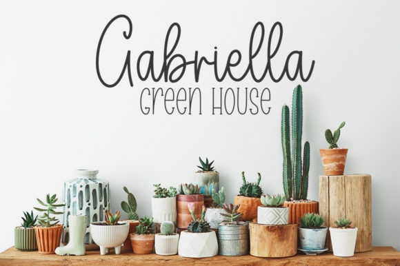Pretty Spring Font Poster 6