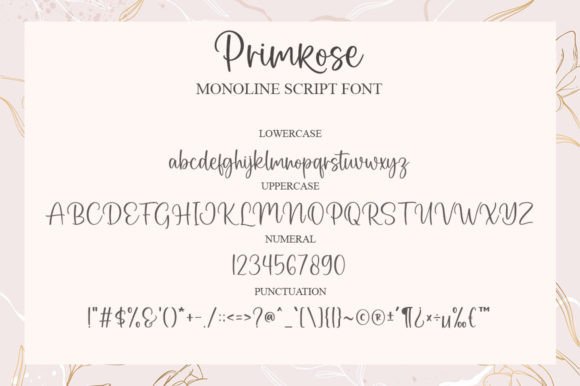 Primrose Font Poster 6