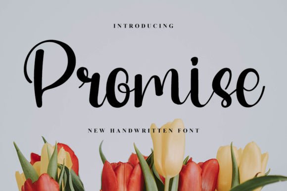 Promise Font Poster 1