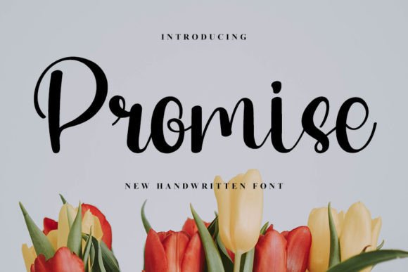 Promise Font