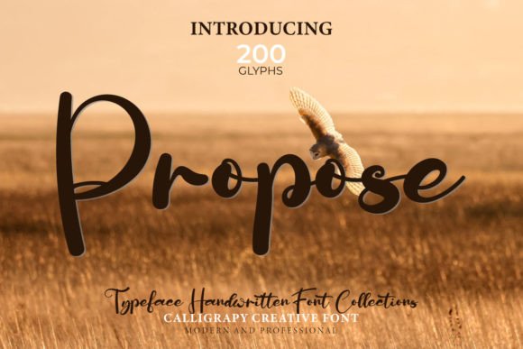 Propose Font Poster 1