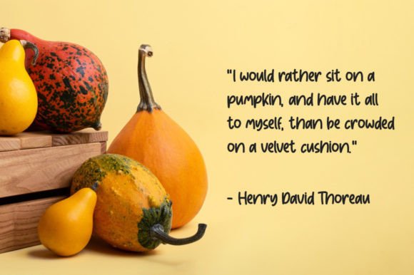 Pumpkin Patch Font Poster 2