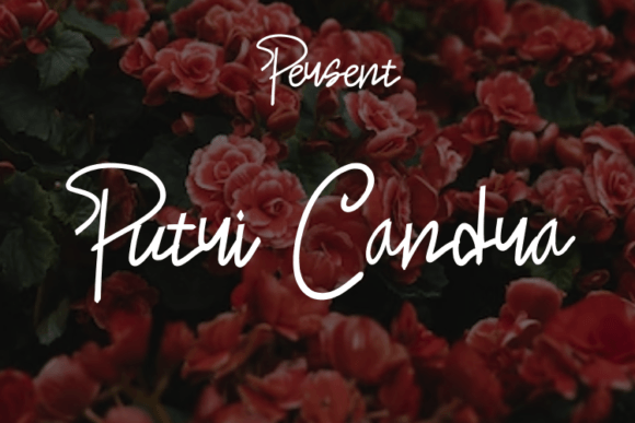 Putri Candra Font Poster 1