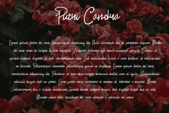 Putri Candra Font Poster 5