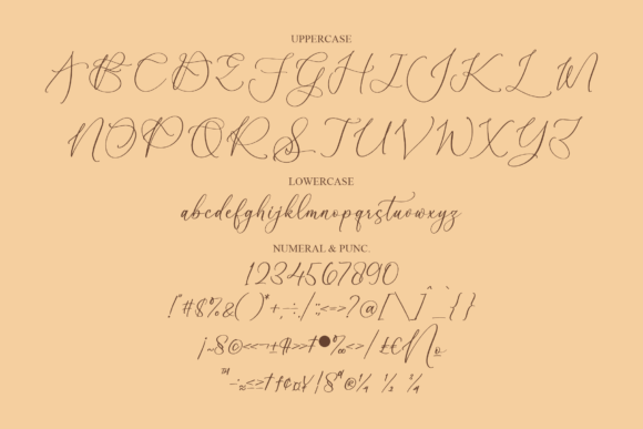 Qarthina Selina Font Poster 13