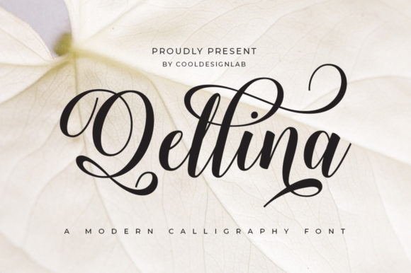 Qellina Font Poster 1