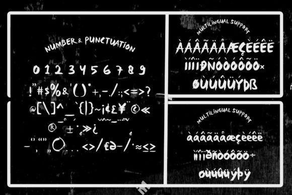 Quiora Brush Font Poster 5
