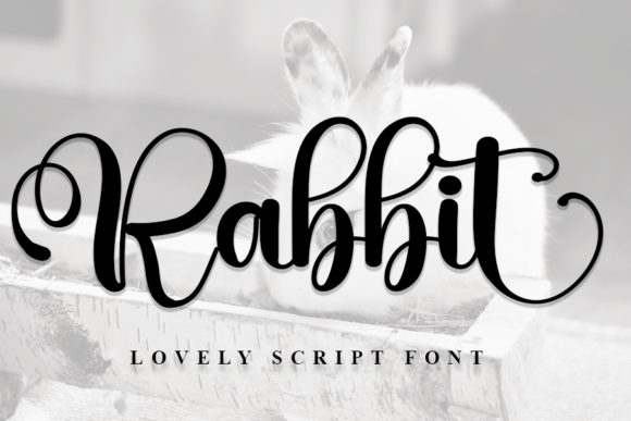 Rabbit Font