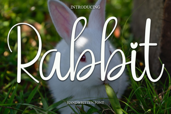 Rabbit Font Poster 1