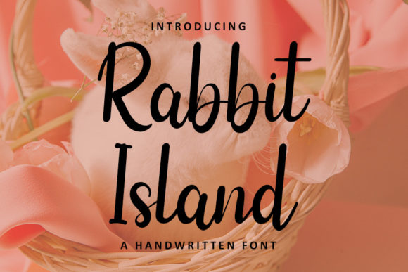 Rabbit Island Font Poster 1