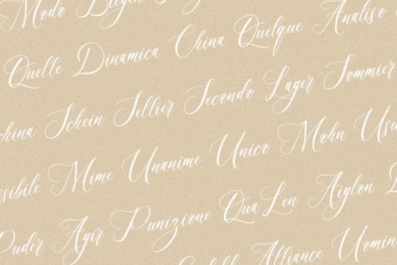 Rafflesia Font Poster 14