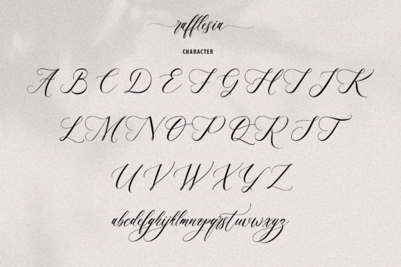 Rafflesia Font Poster 15