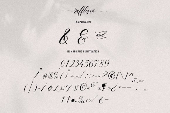 Rafflesia Font Poster 16
