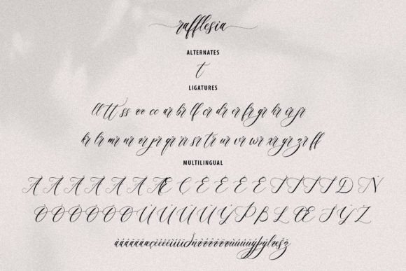 Rafflesia Font Poster 17