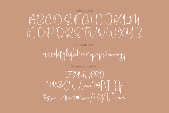 Rafletia Font Poster 13
