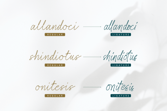 Rahayu Font Poster 9