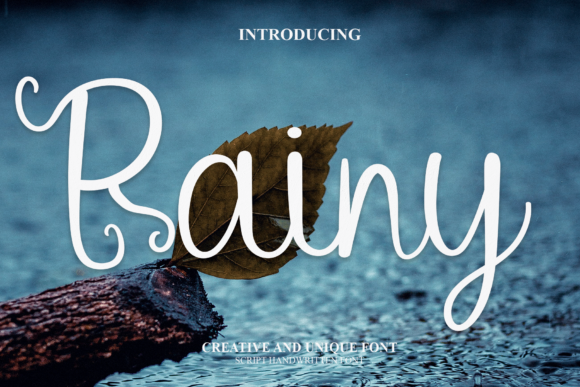 Rainy Font Poster 1