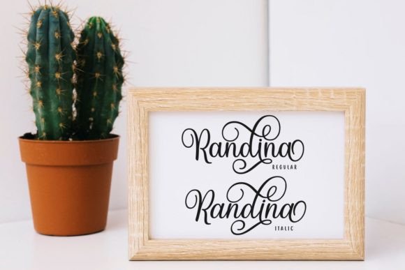 Randina Font Poster 4