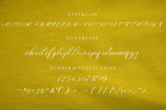 Raneysha Font Poster 8