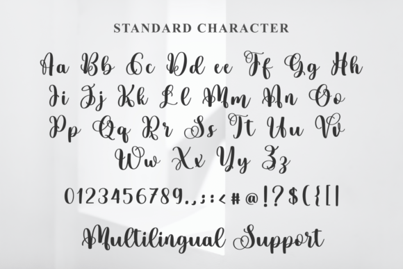Rareday Font Poster 8