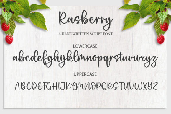 Rasberry Font Poster 8