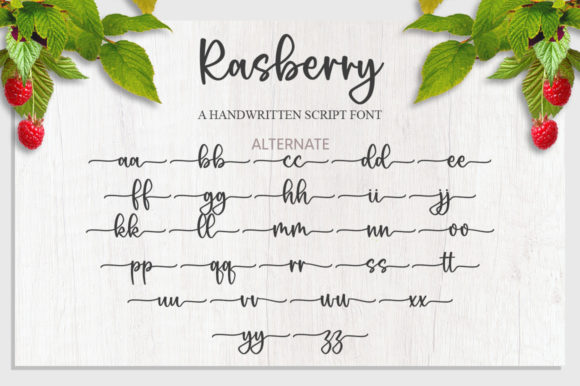 Rasberry Font Poster 9