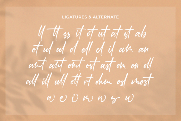 Rastenville Font Poster 2