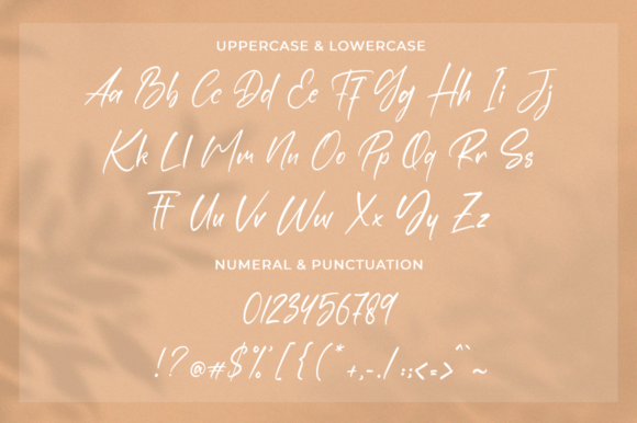 Rastenville Font Poster 3