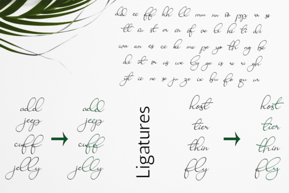 Ravishing Solidago Font Poster 2