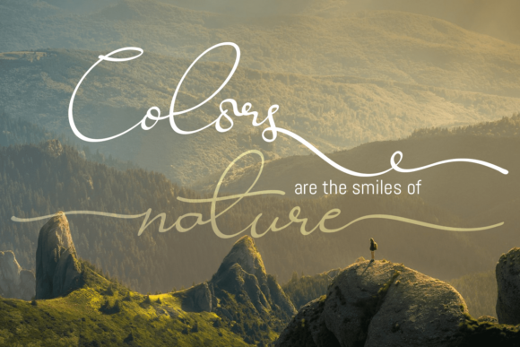 Ravishing Solidago Font Poster 15