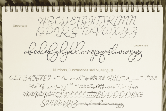Ravishing Solidago Font Poster 16