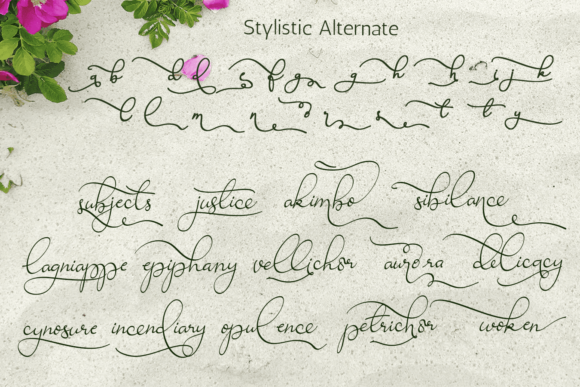 Ravishing Solidago Font Poster 17