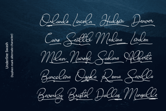 Ravishing Solidago Font Poster 18