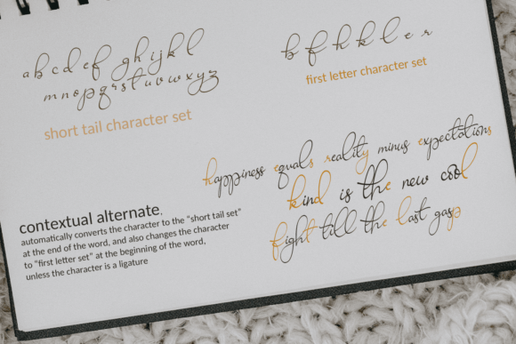 Ravishing Solidago Font Poster 3