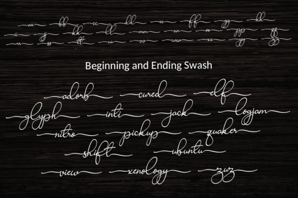Ravishing Solidago Font Poster 4
