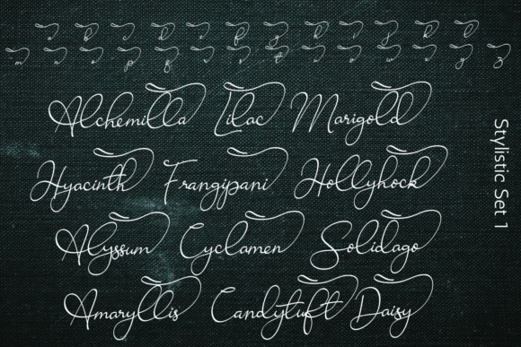 Ravishing Solidago Font Poster 5