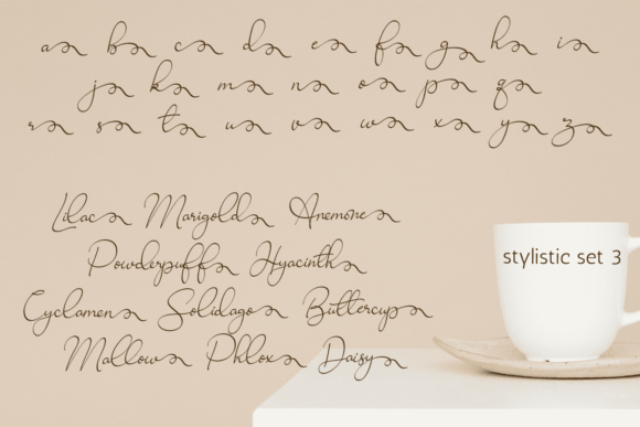 Ravishing Solidago Font Poster 7
