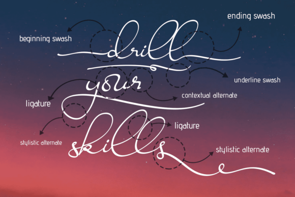 Ravishing Solidago Font Poster 10