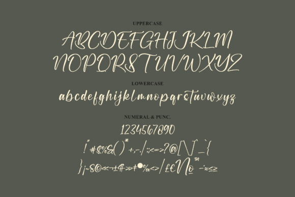 Raykania Font Poster 13