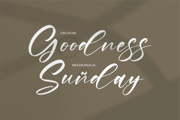 Raylight Font Poster 12