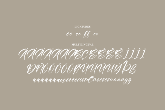 Raylight Font Poster 14