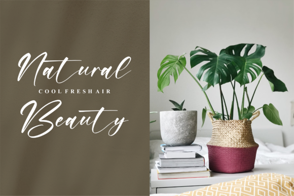 Raylight Font Poster 10