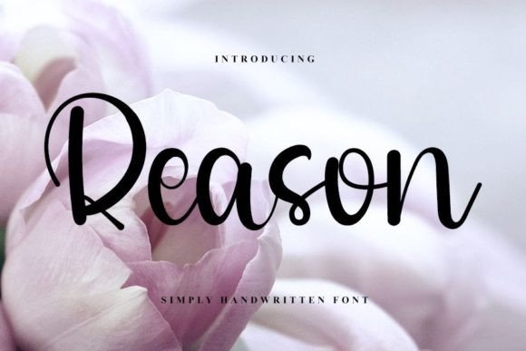 Reason Font Poster 1