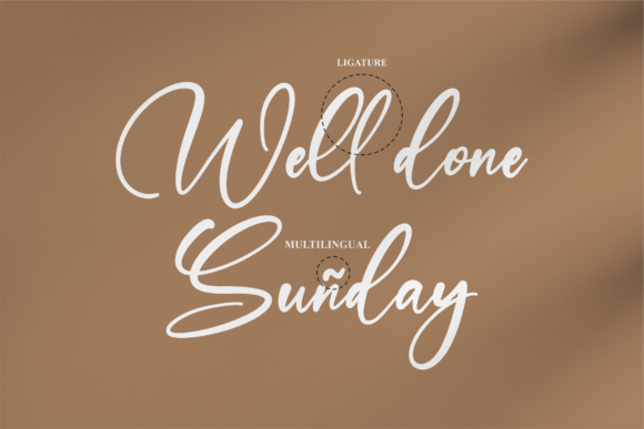 Refliottis Font Poster 12