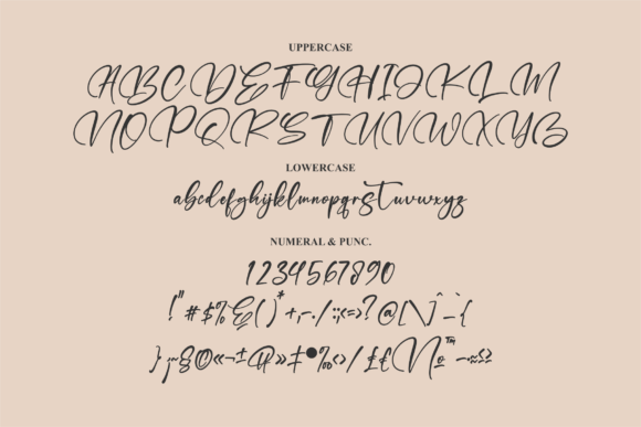 Refliottis Font Poster 13