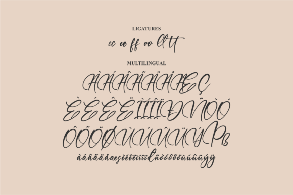 Refliottis Font Poster 14