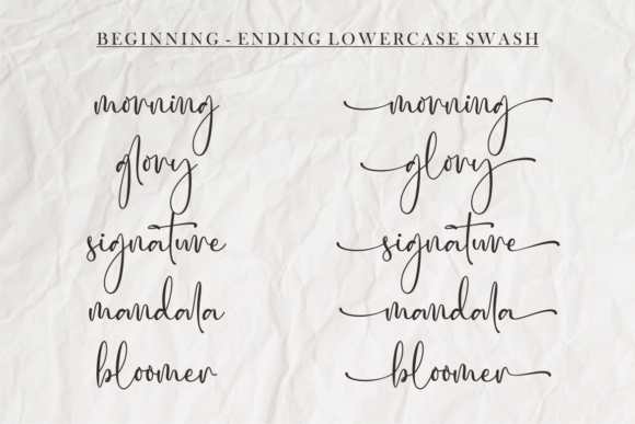 Reghitta Font Poster 10