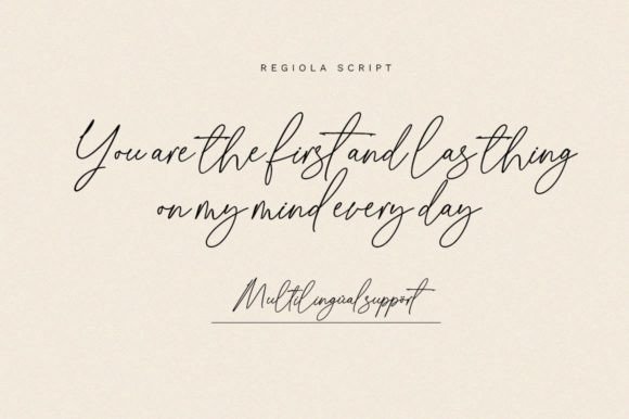 Regiola Font Poster 14