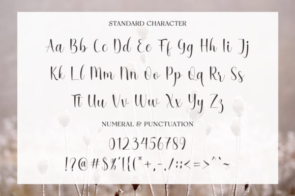 Rellaine Font Poster 11